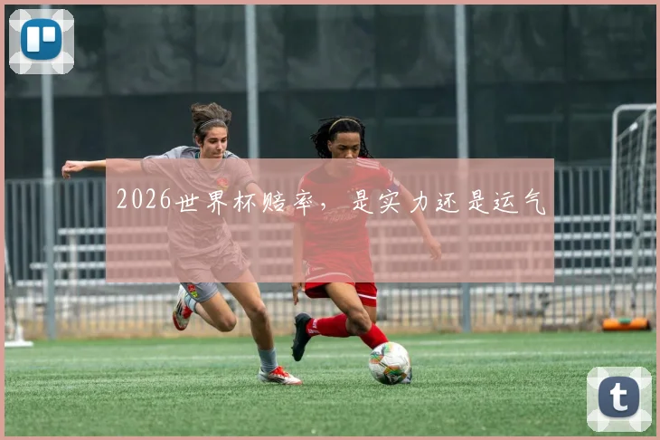 2026世界杯赔率，是实力还是运气