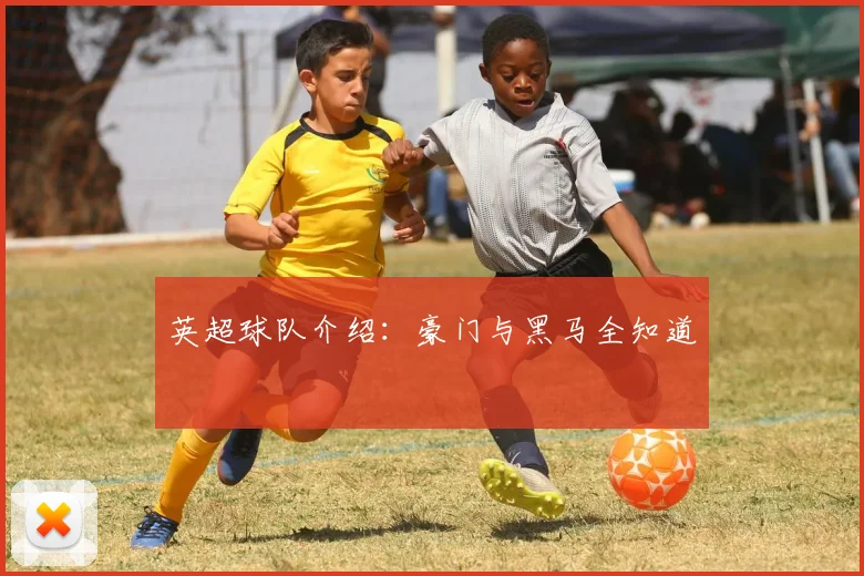 英超球队介绍：豪门与黑马全知道