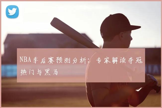 NBA季后赛预测分析：专家解读夺冠热门与黑马