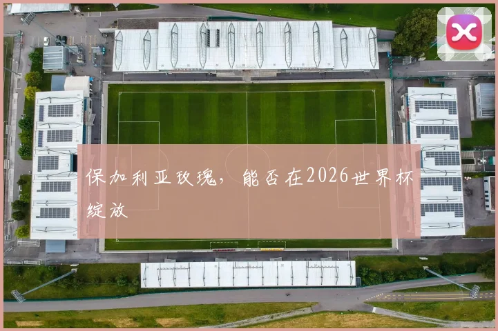 保加利亚玫瑰，能否在2026世界杯绽放